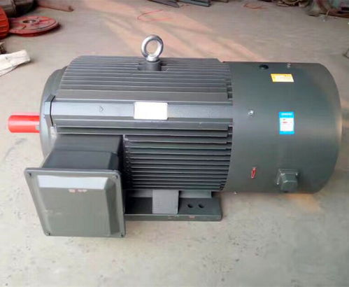 永動變頻電機yvfyvp電機變頻調(diào)速電機生產(chǎn)廠家